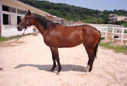 ��� ����