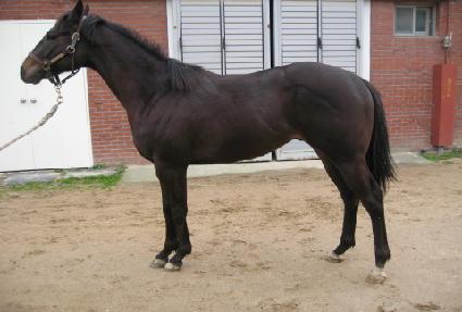 ����屺 ����