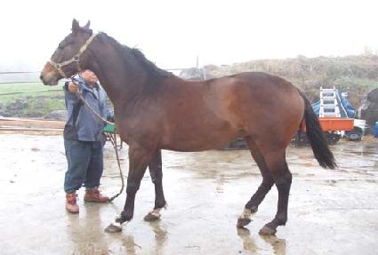 Ŀ������ ����