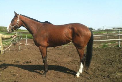 ���̿� ����