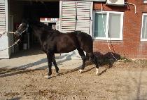 �Ƹ��ٿ���� (AREUMDAUN YOJEONG) ����