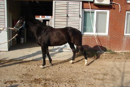 �Ƹ��ٿ���� ����