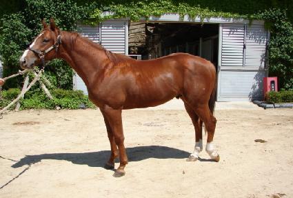 ���ۼ�Ʈ ����