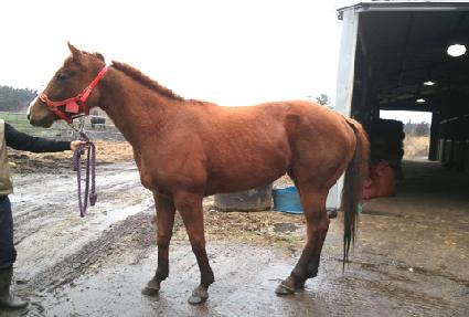 õ�� ����