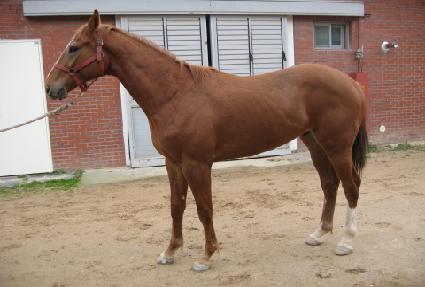 ����Ʈ���� ����