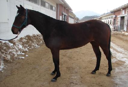 Ž������ ����