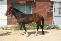 ��輱 (GYEONGGYESEON) ����