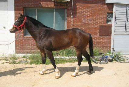 ��輱 ����