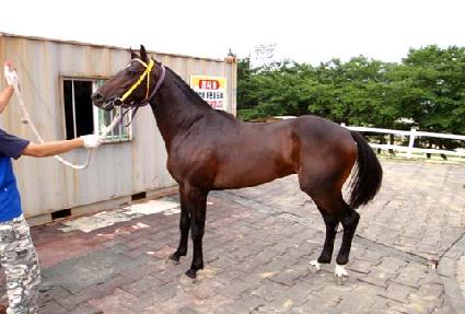 �������� ����