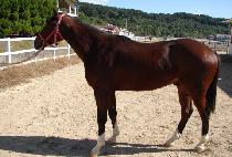 �������Ǽ��� (YURUBUNUI SUNGYUNG) ����