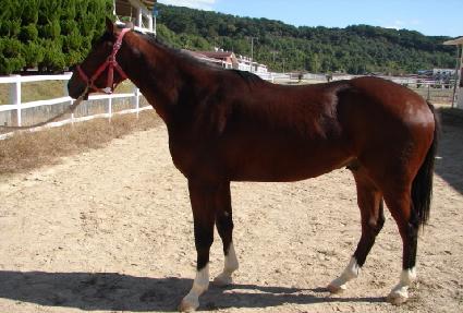 �������Ǽ��� ����