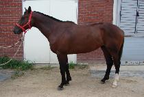 �밨 (YONGGAM) ����