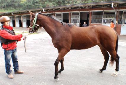 �¸����� ����