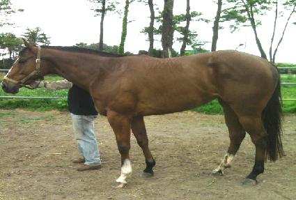 �������� ����