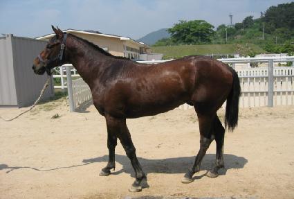 ������ ����