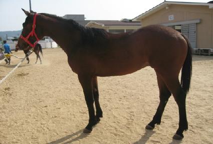 �������� ����