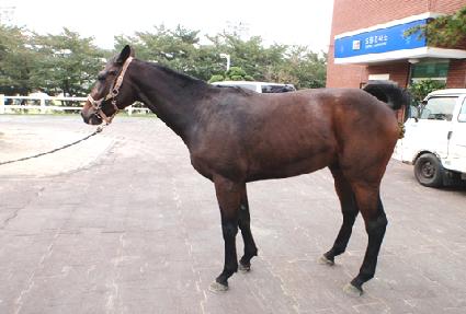 ����ȸ�� ����