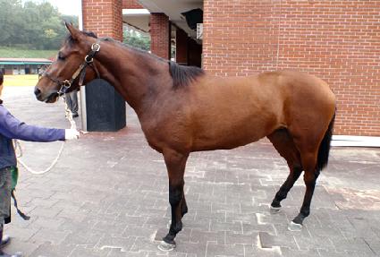 �����弼�� ����