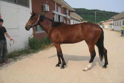 �µ����� ����