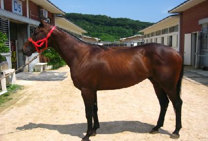 ���帶���� ����