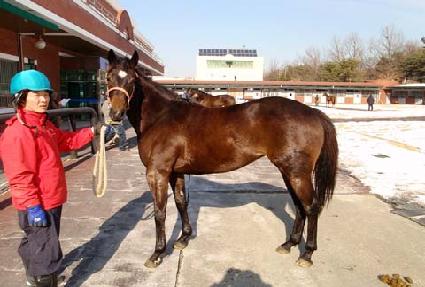 ���丮������ ����