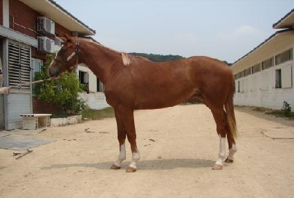 ��ũ���� ����