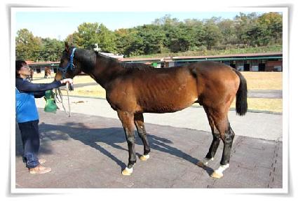 ��õ�¿� ����