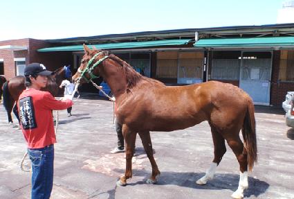 ����� ����