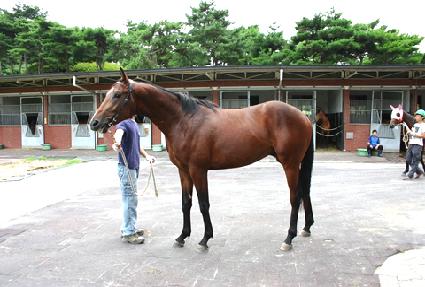 �ϱ��뼼 ����