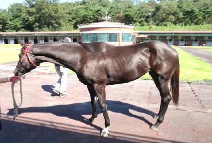 �̾����� ����