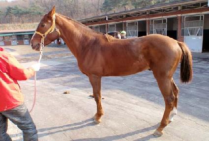 ���̳� ����