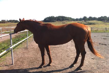 ���̴����� ����