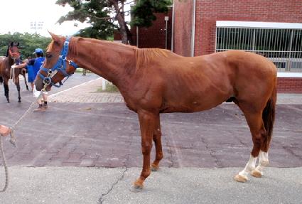 �Ҽ�� ����