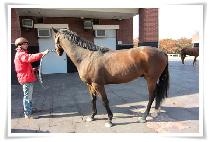 ��Ʈ (BOLT) ����