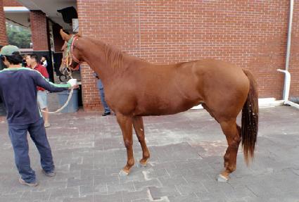 ����ƾ���̽� ����