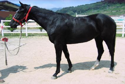 ���ǰ��� ����