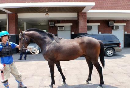 Ȳ��ĸƾ ����