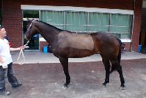 �¾��� (TAEYANGI) ����