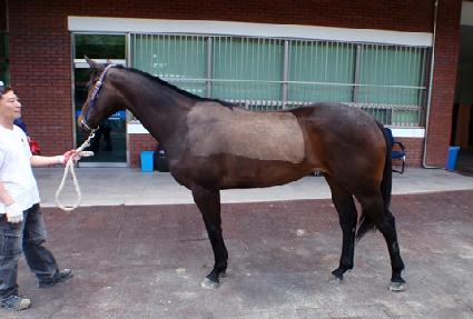 �¾��� ����