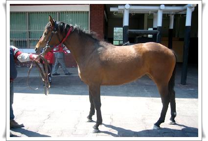 ������� ����