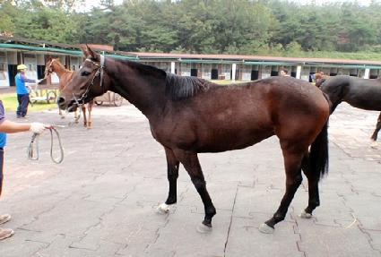 ��Ѹ� ����