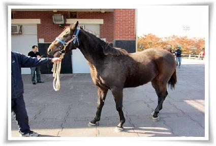 �츮���� ����