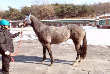 ������½ ����