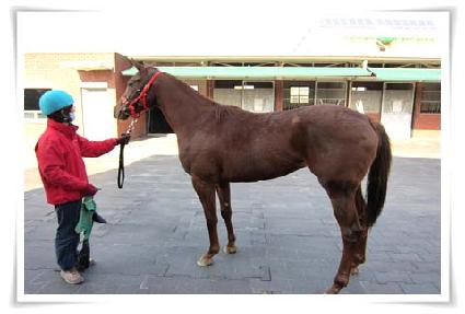 �������� ����