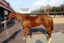 ���̺��� (NOTHING BETTER) ����