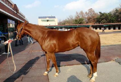 ���̺��� ����