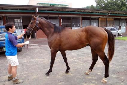 ��Ż ����