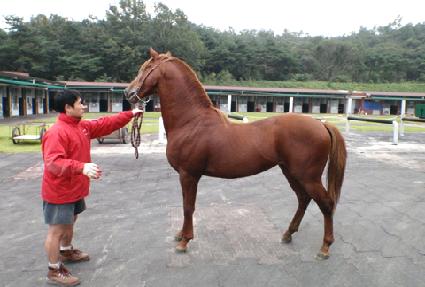 ��õ��ȸ�� ����