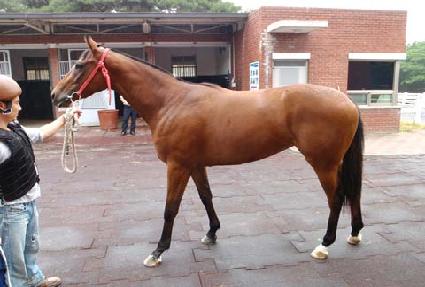 �ֽ���Ʈ ����