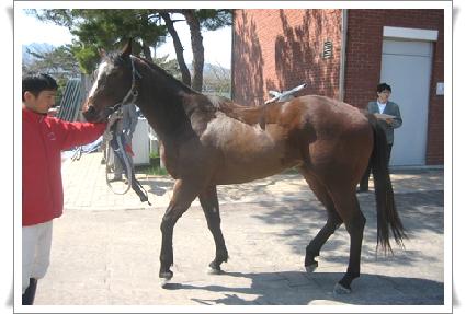 ��â�ø��� ����